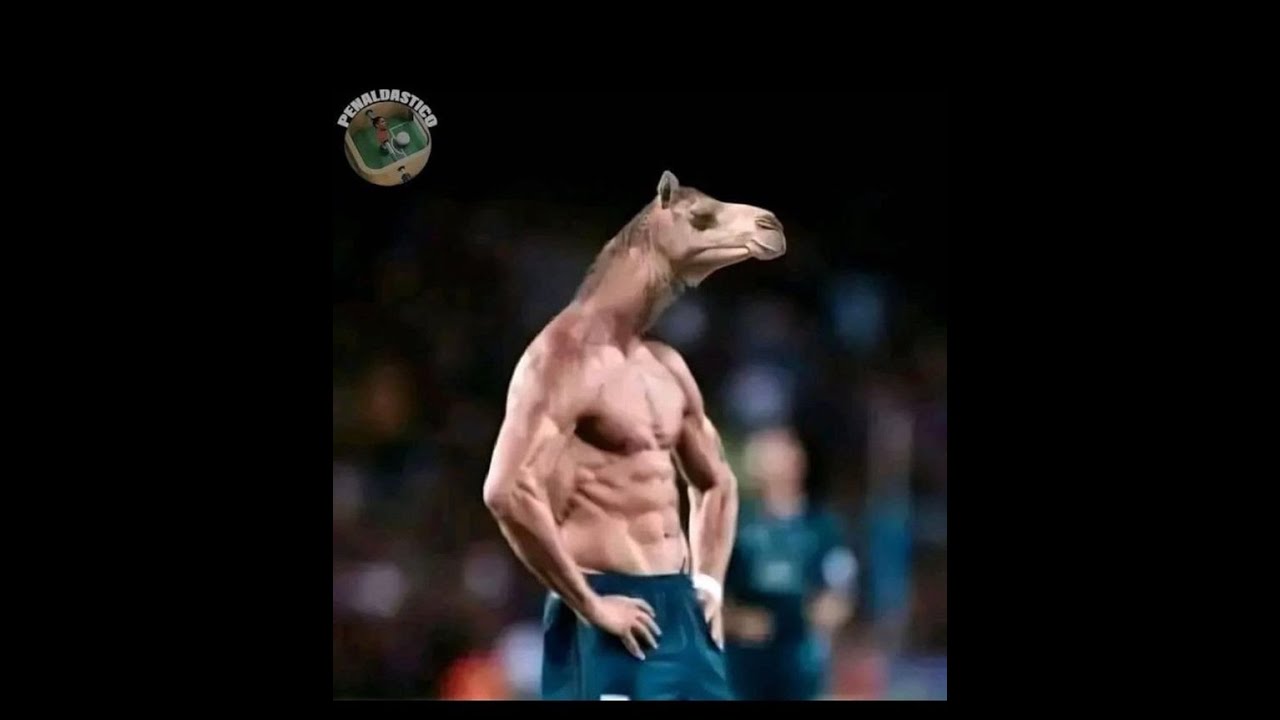 annniiiiiimandoooo