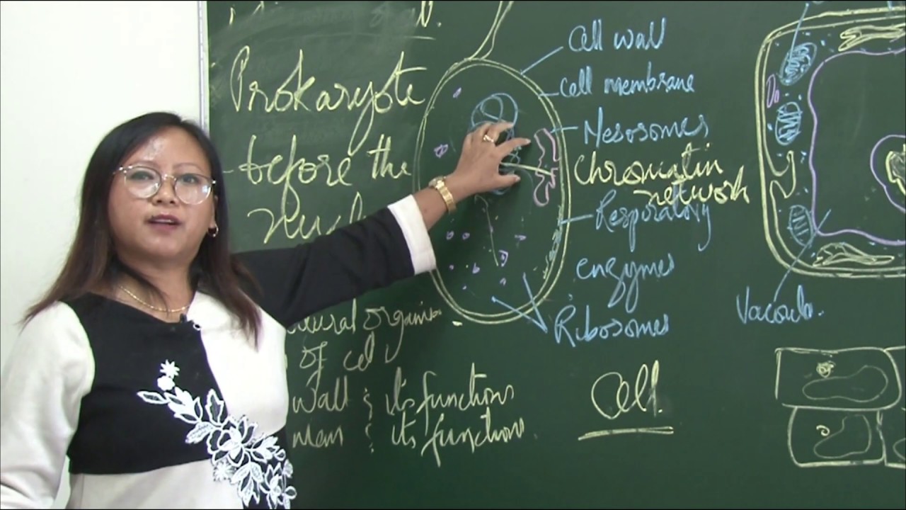 TUTORIAL for Class - IX, Fundamental Unit Of Life Part 1