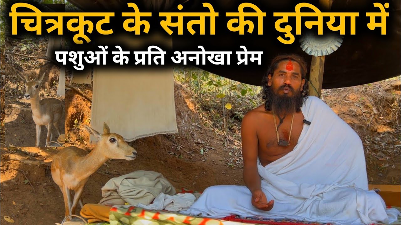 चित्रकूट के जंगल में सिद्ध एवं गुप्त संतो की दुनिया में पशुओं के प्रति अनोखा प्रेम@Chitrakoot Life