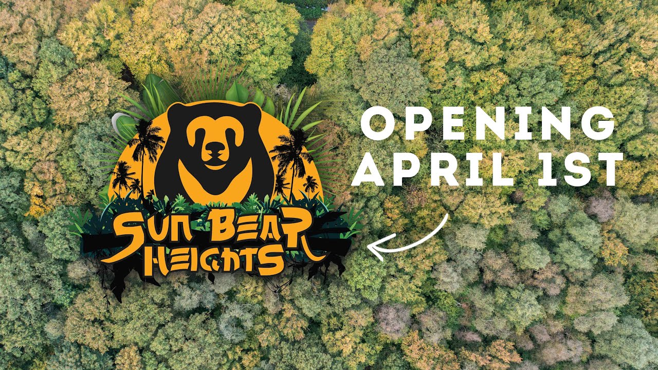 We Have Sun Bears Arriving! | Paradise Wildlife Park