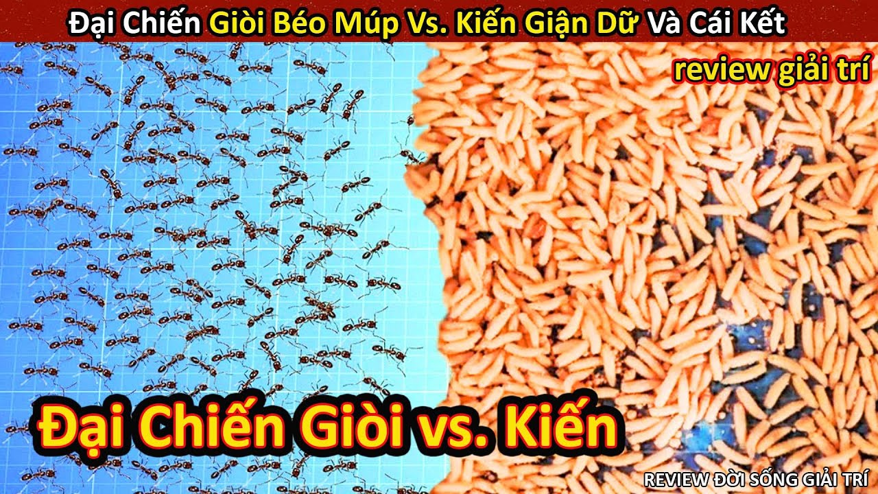 Đại Chiến Khủng Khiếp Giòi vs. Kiến Và Cái Kết Không Thể Ngờ || Review Giải Trí Đời Sống