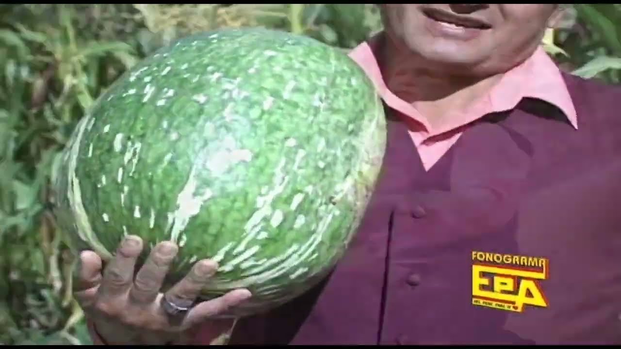 GREGORIO ERAZO  / Mi vida ( Video Oficial  )