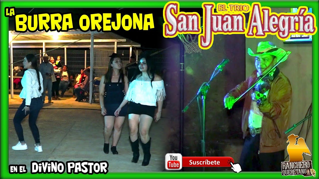 Trio San Juan Alegría - La Burra Orejona