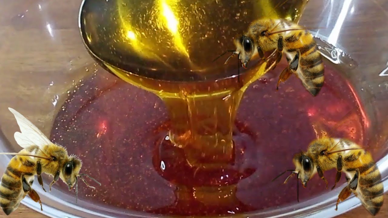عسل منزلي🍯🍯ناجح100%🐝🐝مثل الذي يباع في المحلات يدوم أكثر من سنة🤫لكل الحلويات المعسلة