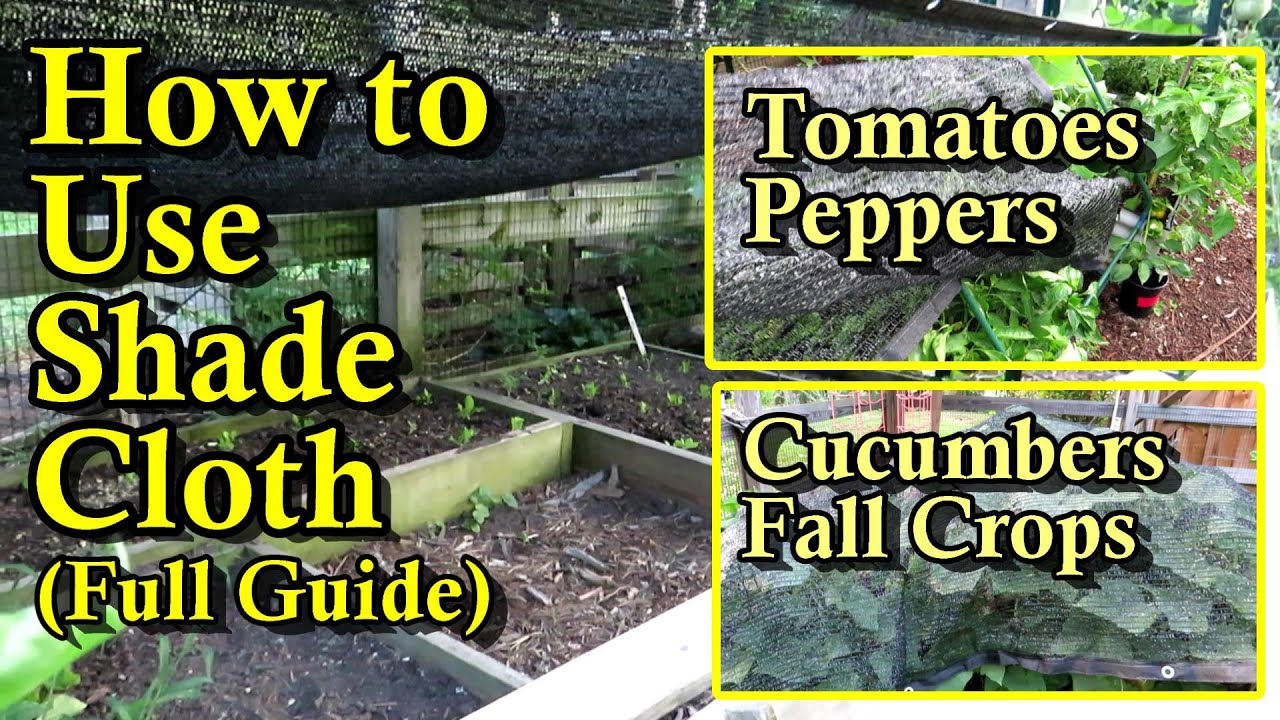 A Garden Shade Cloth Plant Saving Guide (Tomatoes, Peppers, Cucumbers, & Fall Crop Examples)