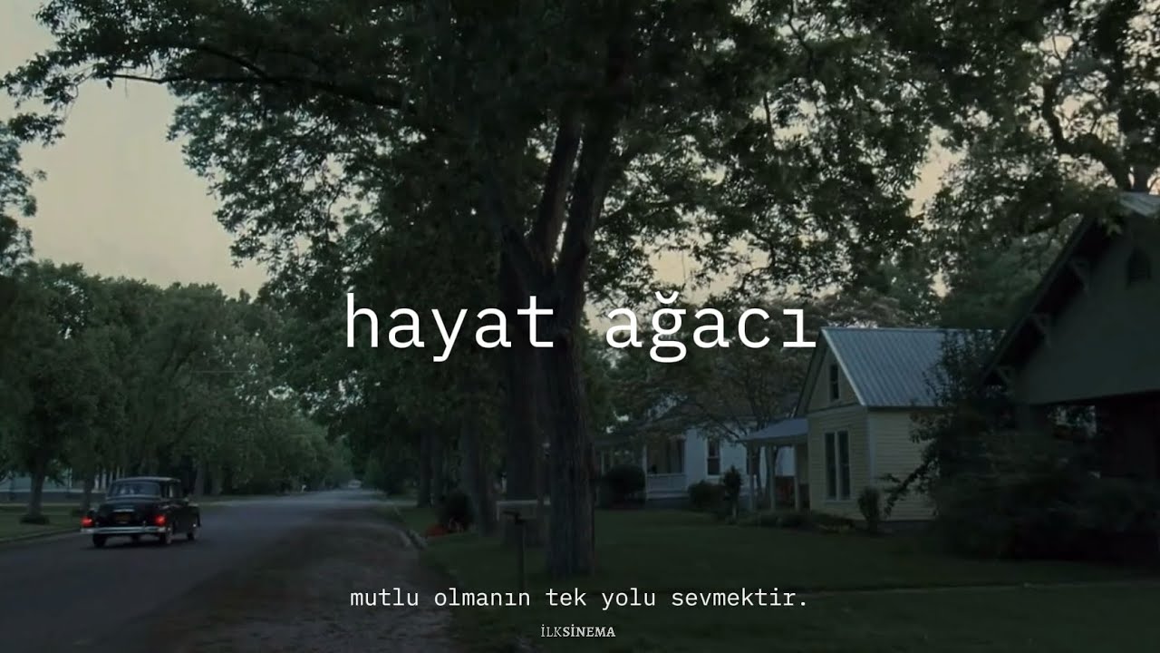 sevgi.