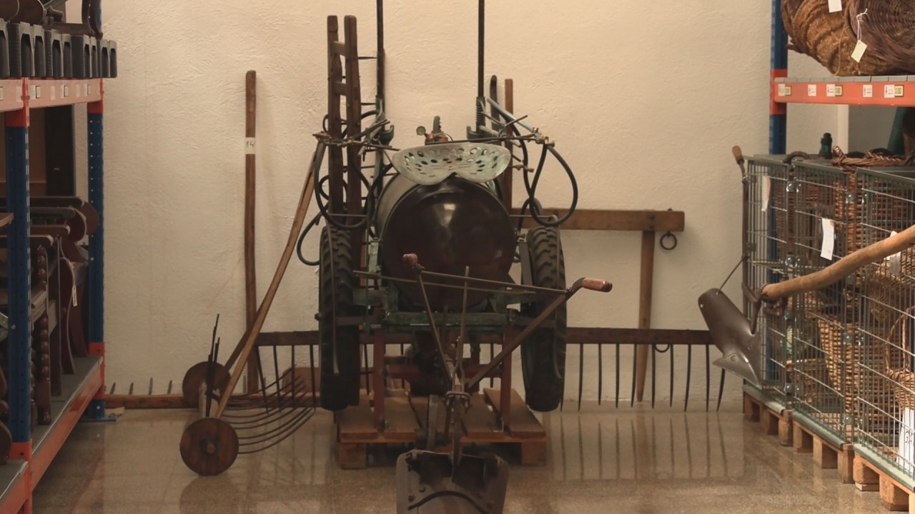 Entrem a la sala de reserves del Museu Terra