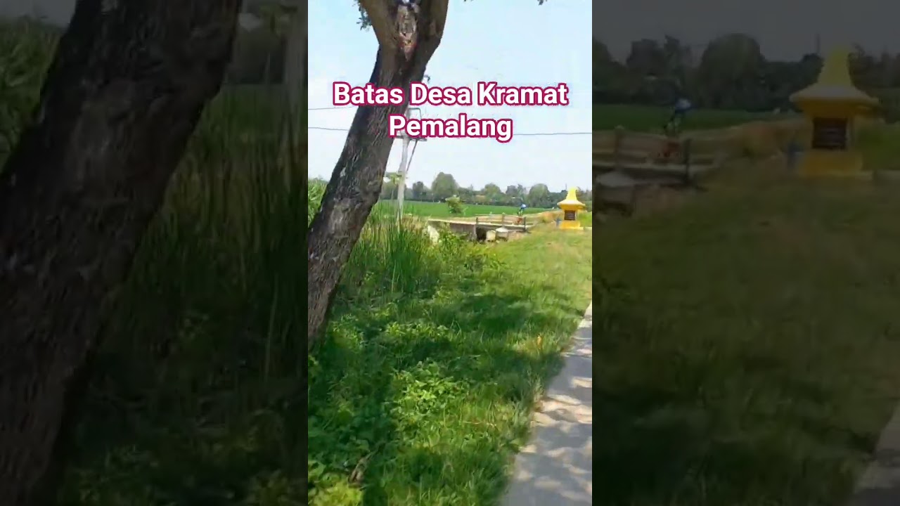 desa kramat #shortvideo #kramat #pemalang #kabpemalang #jalanjalan #wisata