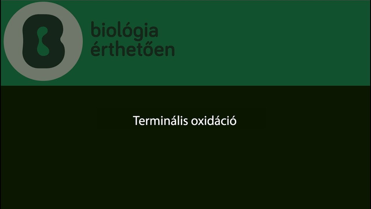 Terminális oxidáció