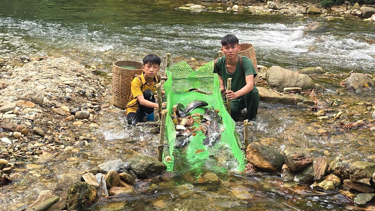 Highland boy traditional fish trapping methods, harvested 30 kg of stream fish and catfish to sell.