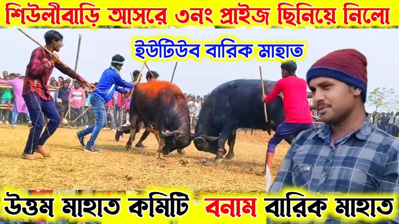 শিউলীবাড়ি আসরে ৩নং প্রাইজ ছিনিয়ে নিলো। বারিক মাহাত ইউটিউব বনাম উত্তম মাহাত কমিটি।