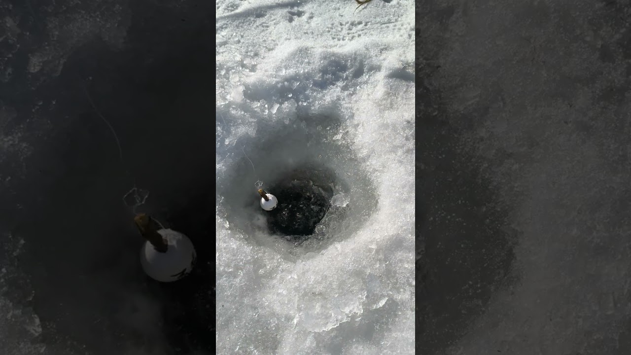 Риболовля,перевірка екранів з ночі #fishing #врекомендації 