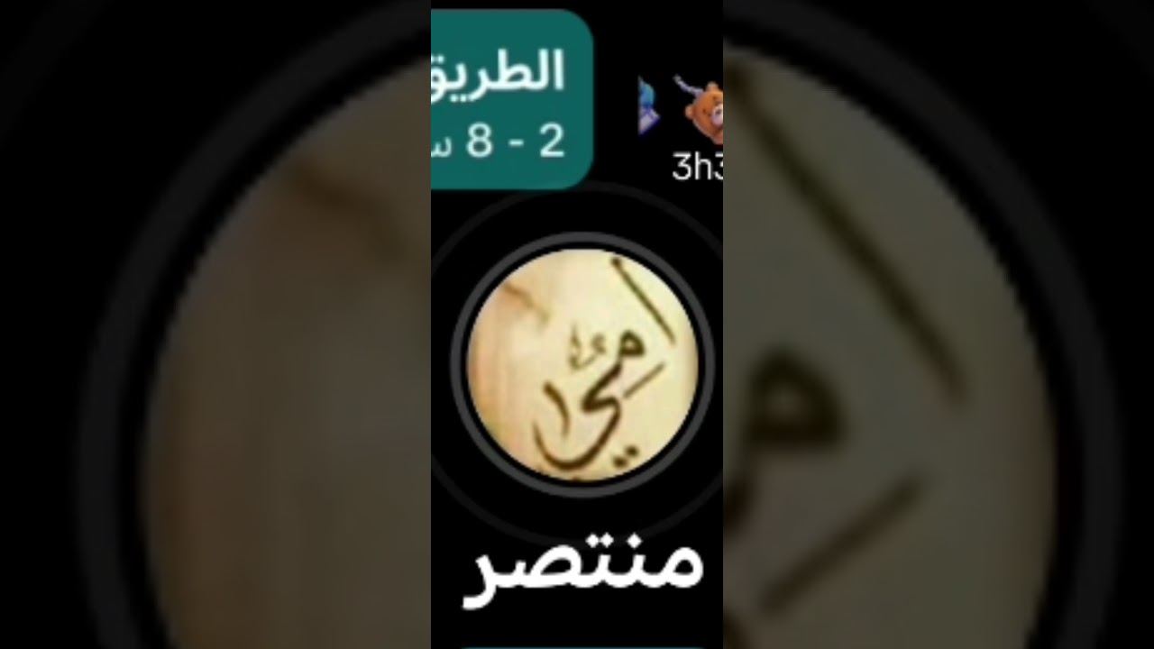 موالات منتصر البصراوي