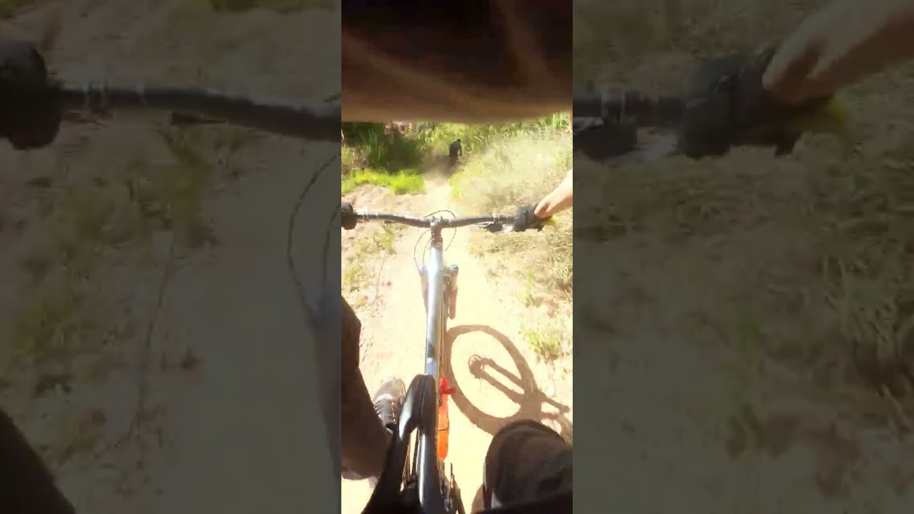 QUE FREIADA FOI ESSA?! #downhill #enduro #mountainbike #mtb #mtblife #xcom #specialized #zracing