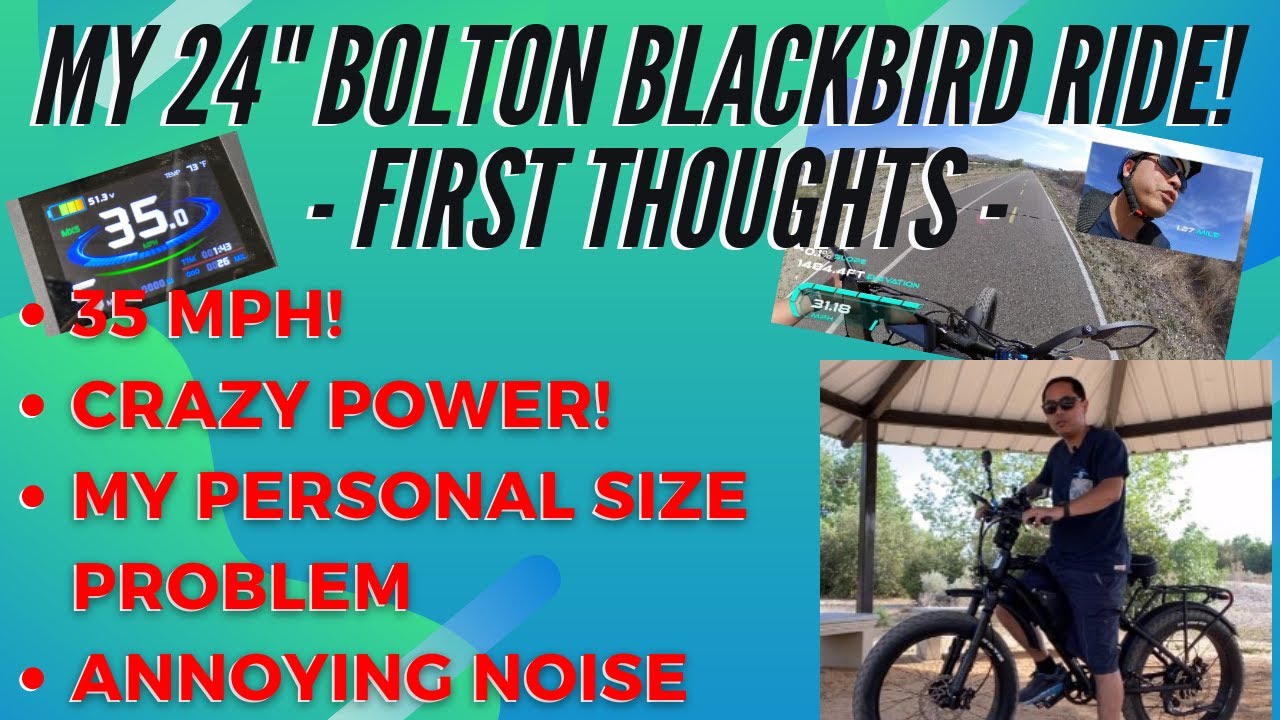 The Bolton Blackbird 24