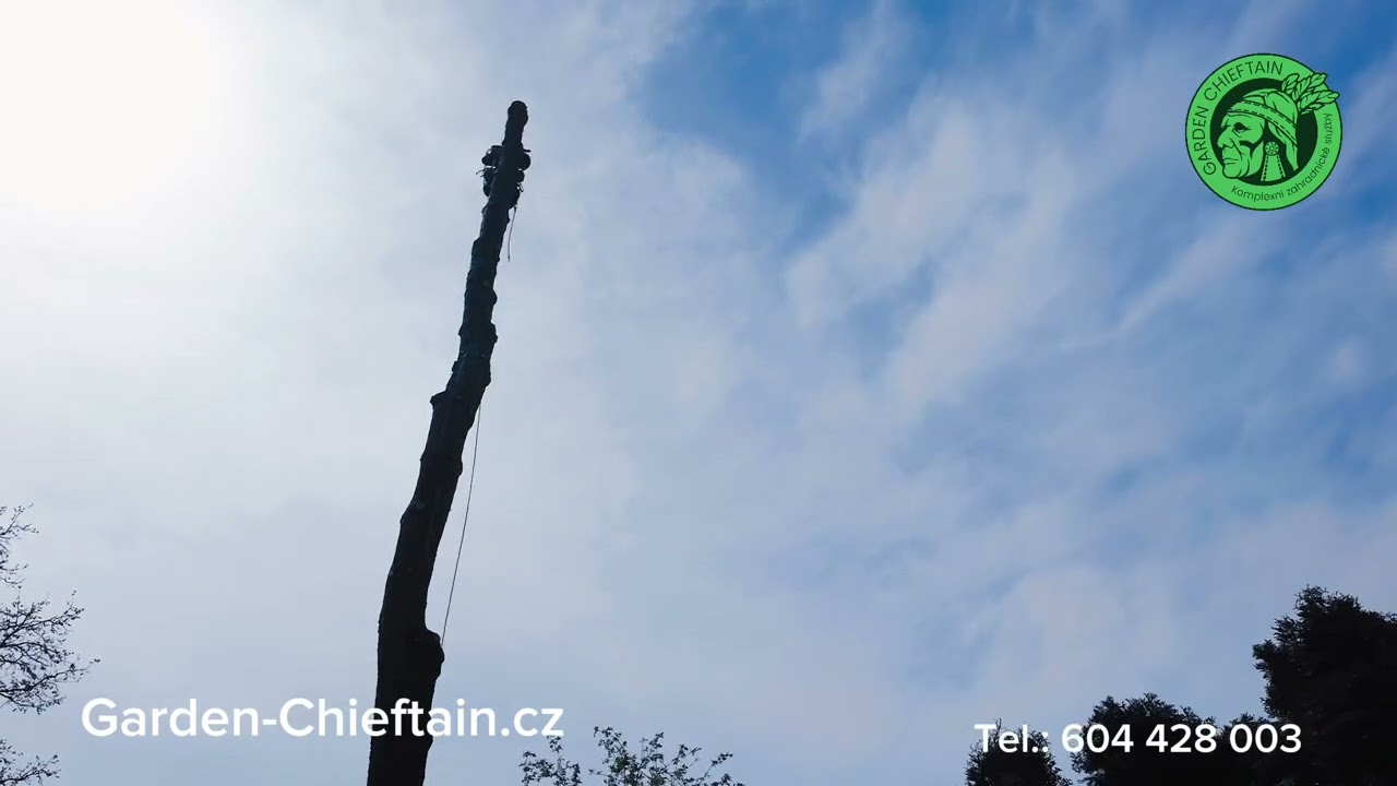 Pokácení rizikového stromu zasaženého bleskem lezeckou technikou
