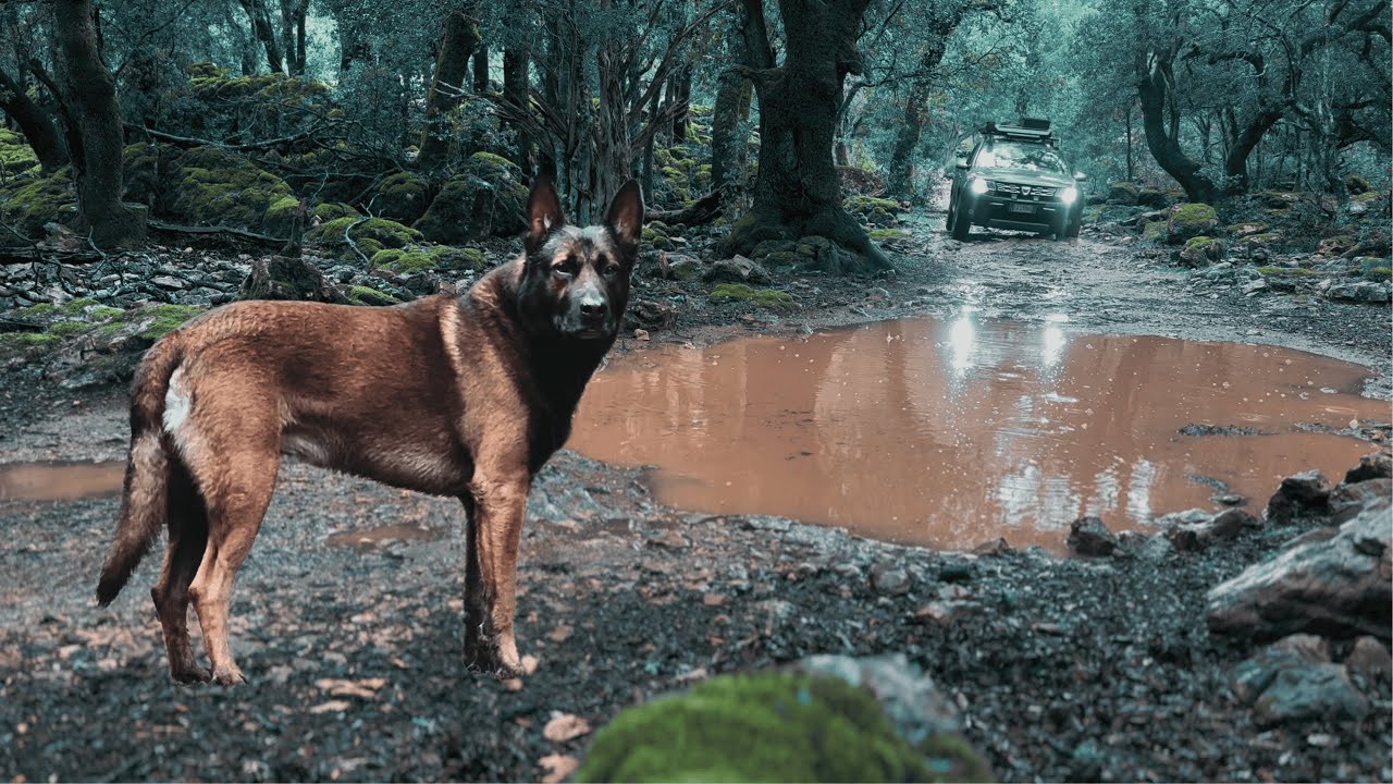 EXPLORING AND WILD CAMPING with RAOH| SARDEGNA OFFROAD | RAIN and MUD for the DUSTER | Nature ASMR