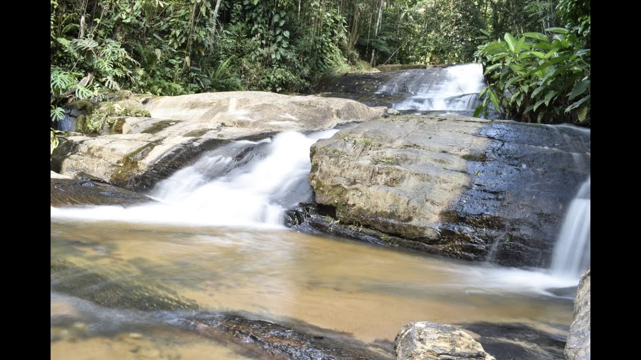 Tour Virtual por Mogi das Cruzes I - Serra do Itapeti e suas riquezas - com Debora Mello