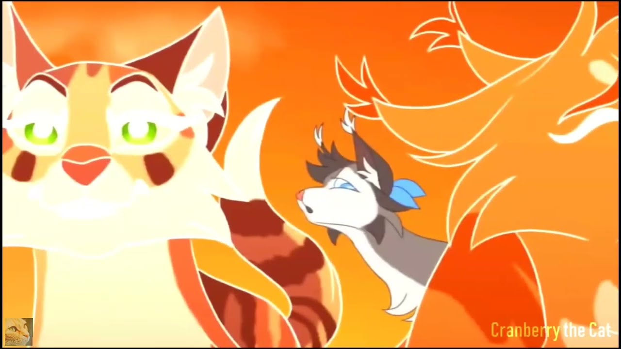 𝐋𝐆𝐃𝐂 - 𝐇𝐨𝐮𝐬𝐞 𝐨𝐟 𝐦𝐞𝐦𝐨𝐫𝐢𝐞𝐬 (𝐏𝐚𝐧𝐢𝐜! 𝐀𝐭 𝐓𝐡𝐞 𝐃𝐢𝐬𝐜𝐨)