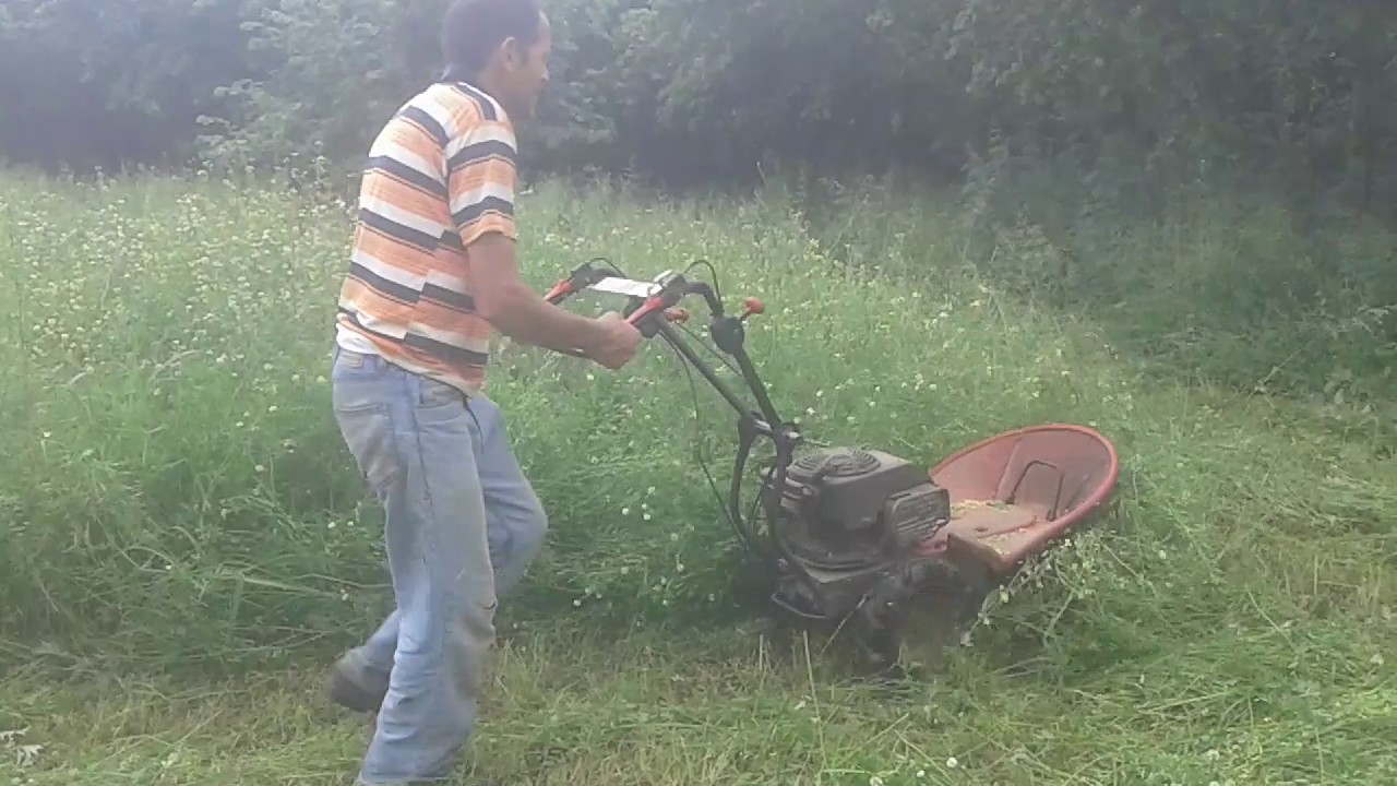 Secho MX 1500 ile ot biçimi