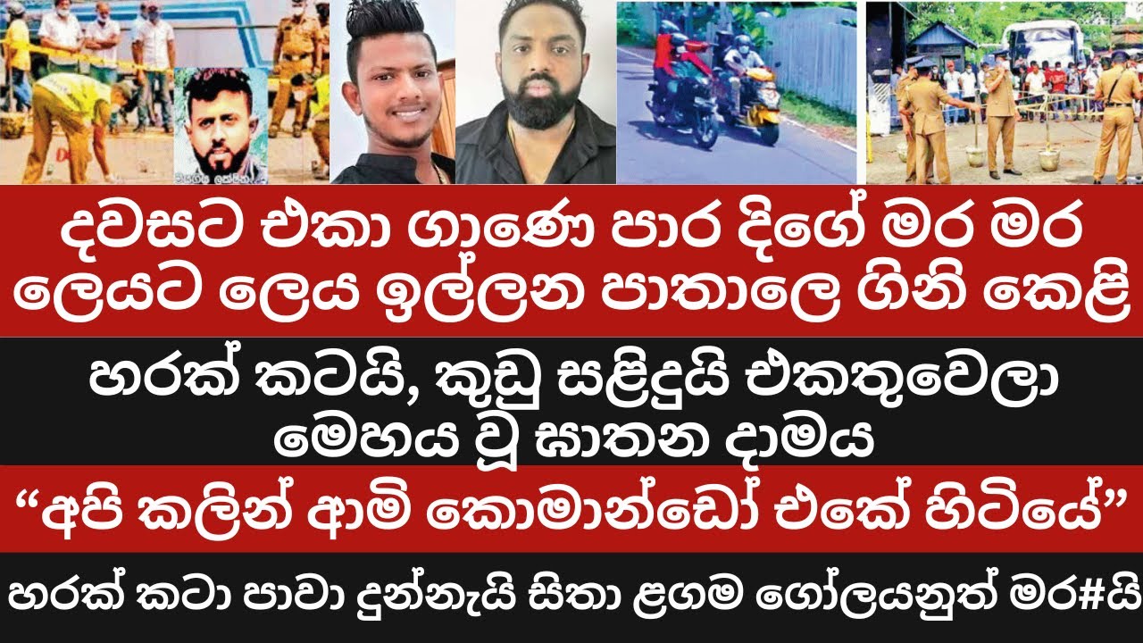 දවසට එකා ගාණෙ පාර දිගේ මර මර ලෙයට ලෙය ඉල්ලන පාතාලෙ ගිනි කෙළි /හරක් කටයි, කුඩු සළිදුයි මෙහය වූ ඝාතන