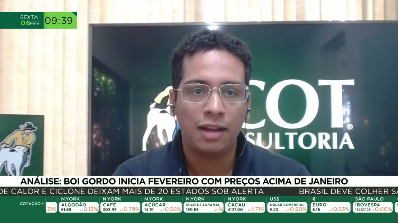 An&aacute;lise: Boi gordo inicia fevereiro com pre&ccedil;os acima de janeiro