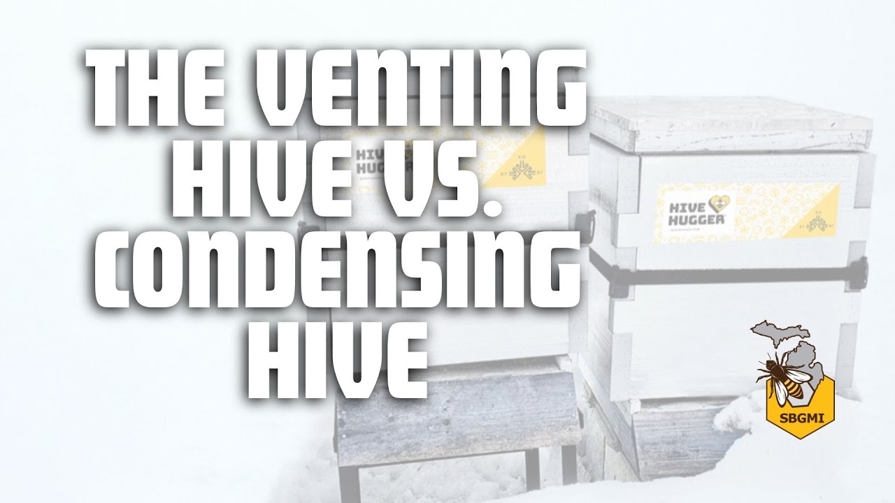 The Venting Hive vs. Condensing Hive: Beekeeping Winter Survival Tactics with Peggy DeSanto