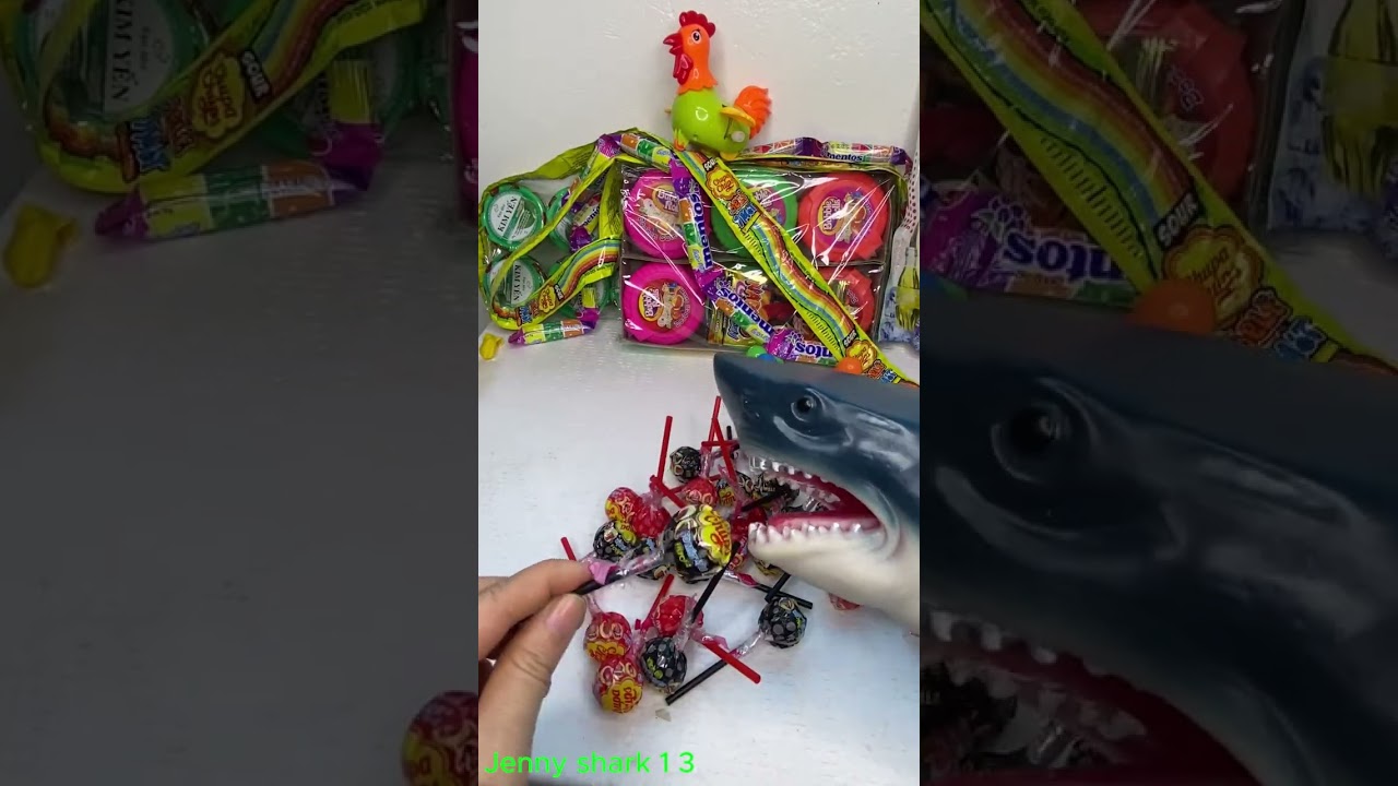 Jenny shark 1 LIVESTREAM