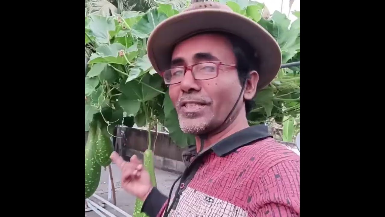 তুমিও ফলাও 👈✅