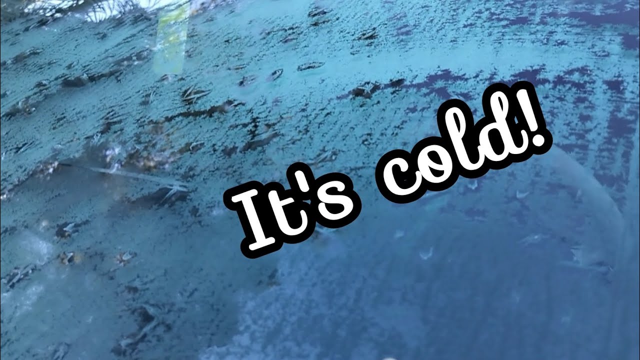 Freeze update 