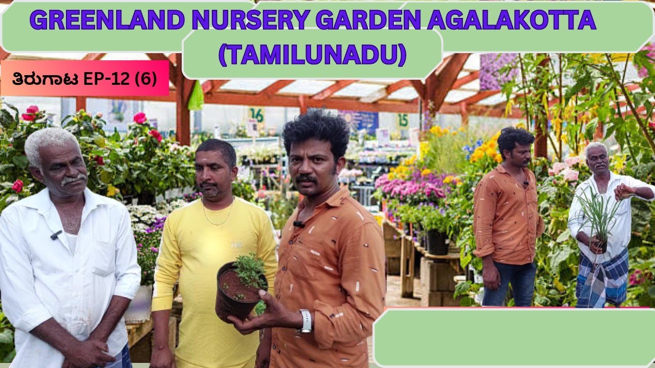 Greenland Nursery Agalakotta (Tamilunadu) |ಚಮತ್ಕಾರಿ ಔಷಧಿ ಸಸ್ಯಗಳು|ತೀರುಗಾಟ EP-12 (6)| U Premier Series