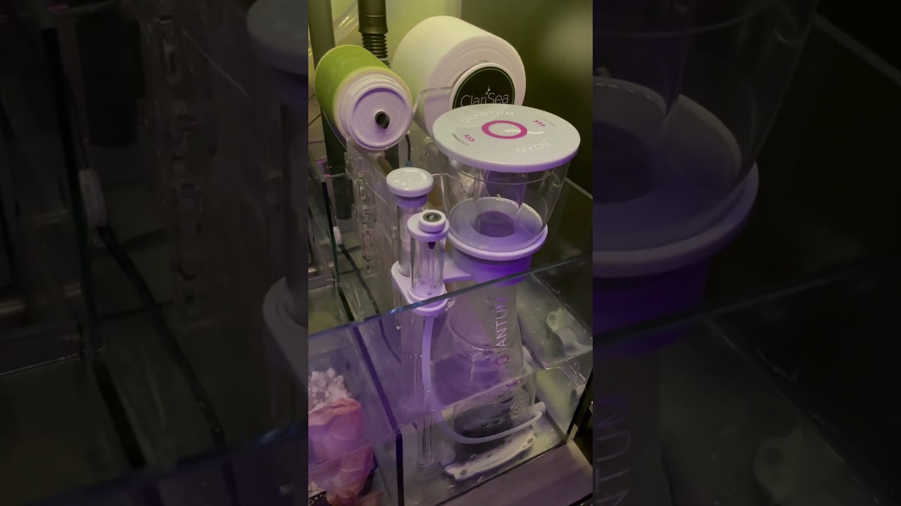 DD reef pro 1200 reef tank
