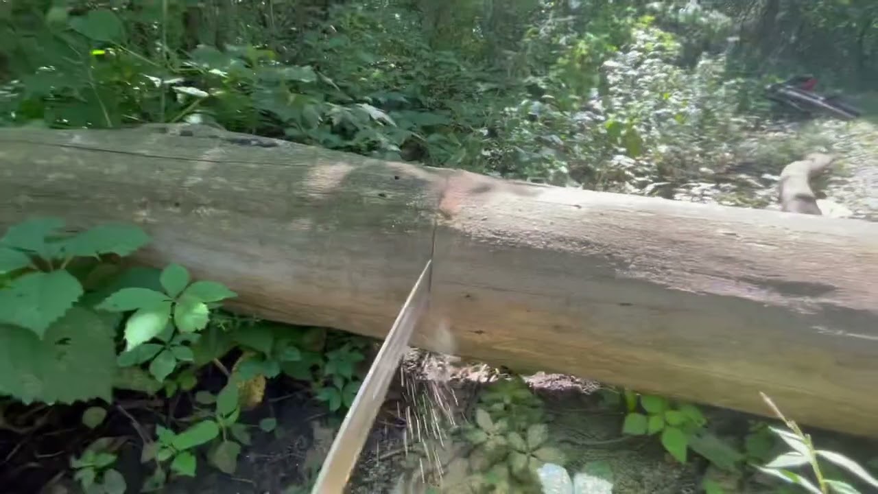 Handsawing a fallen tree with a Katanaboy 500