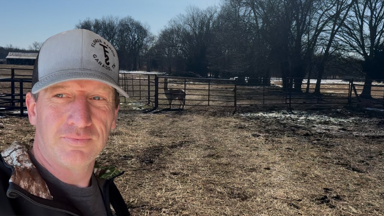 No Homesteader Should Ever Have To Do This..