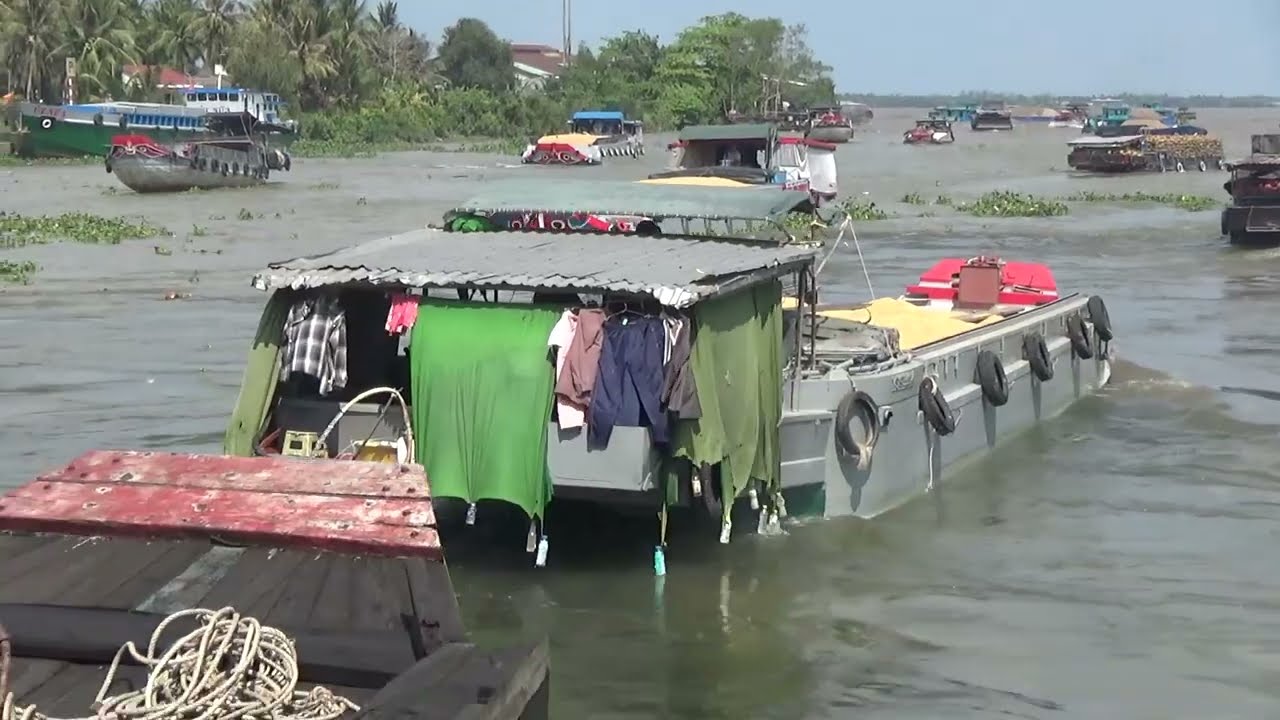 Chưa từng thấy giá dầu tăng mà ghe chạy đông như vậy