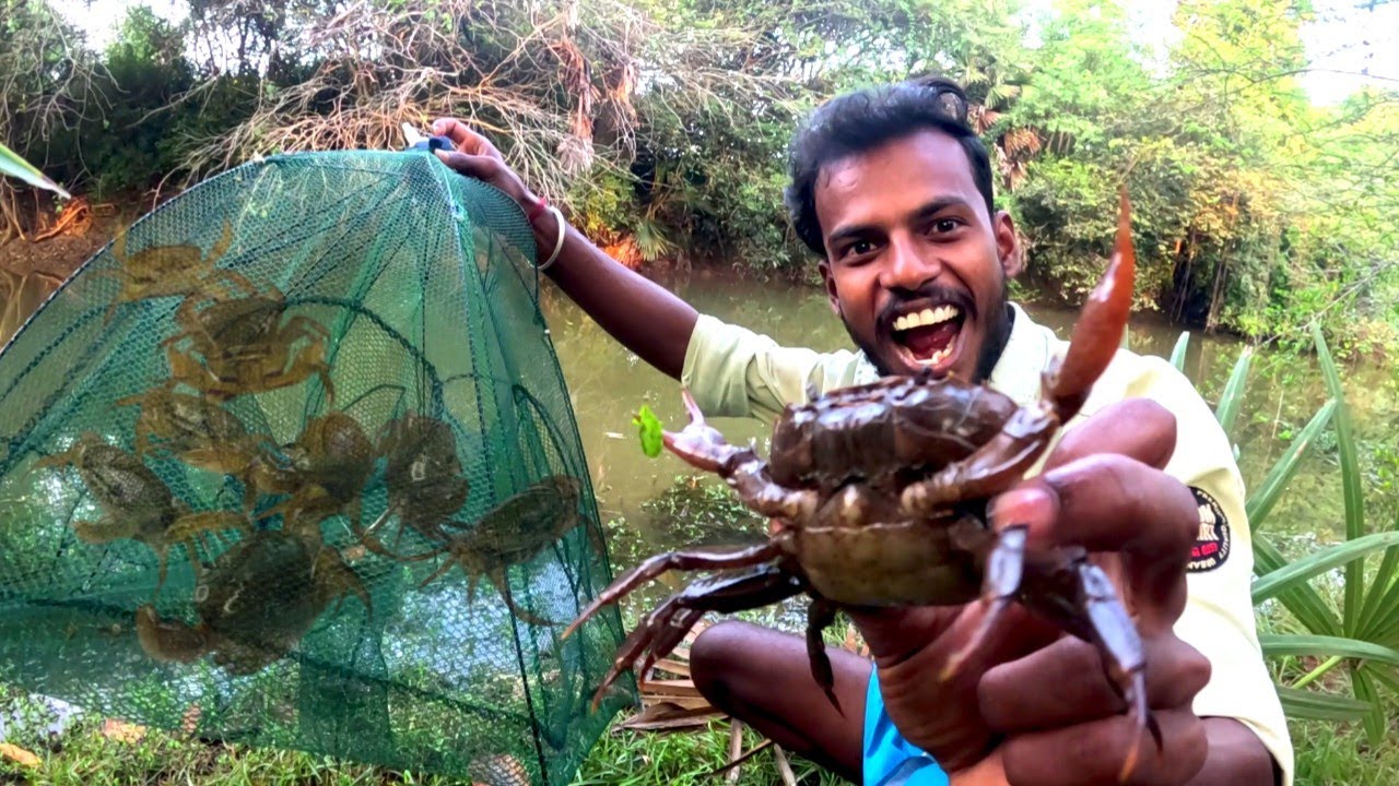 Fish Trap - ல இவ்வளோ நண்டு மாட்டும்னு எதிர் பாக்கல..! 😮 #crabhunting 