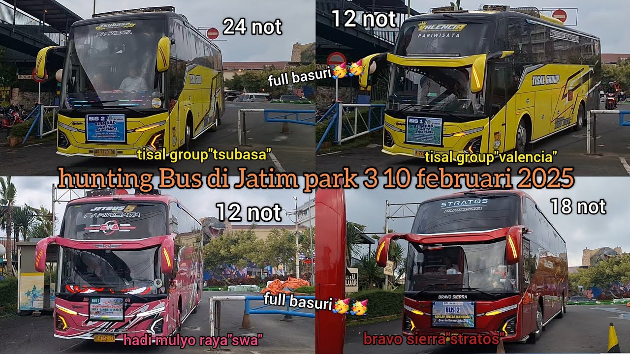 hunting Bus di Jatim park 3 10 februari 2026.full Bus artis🥳🥳