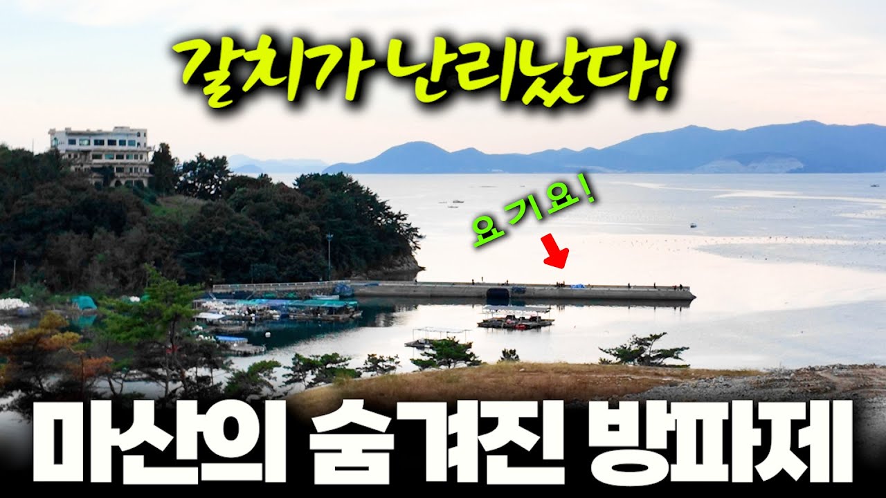숨겨진 방파제에서 갈치를 잡아 엄청나게 맛나게 먹어 보자!!  (경남 창원 / 박선비tv / 갈치 순살 덮밥)