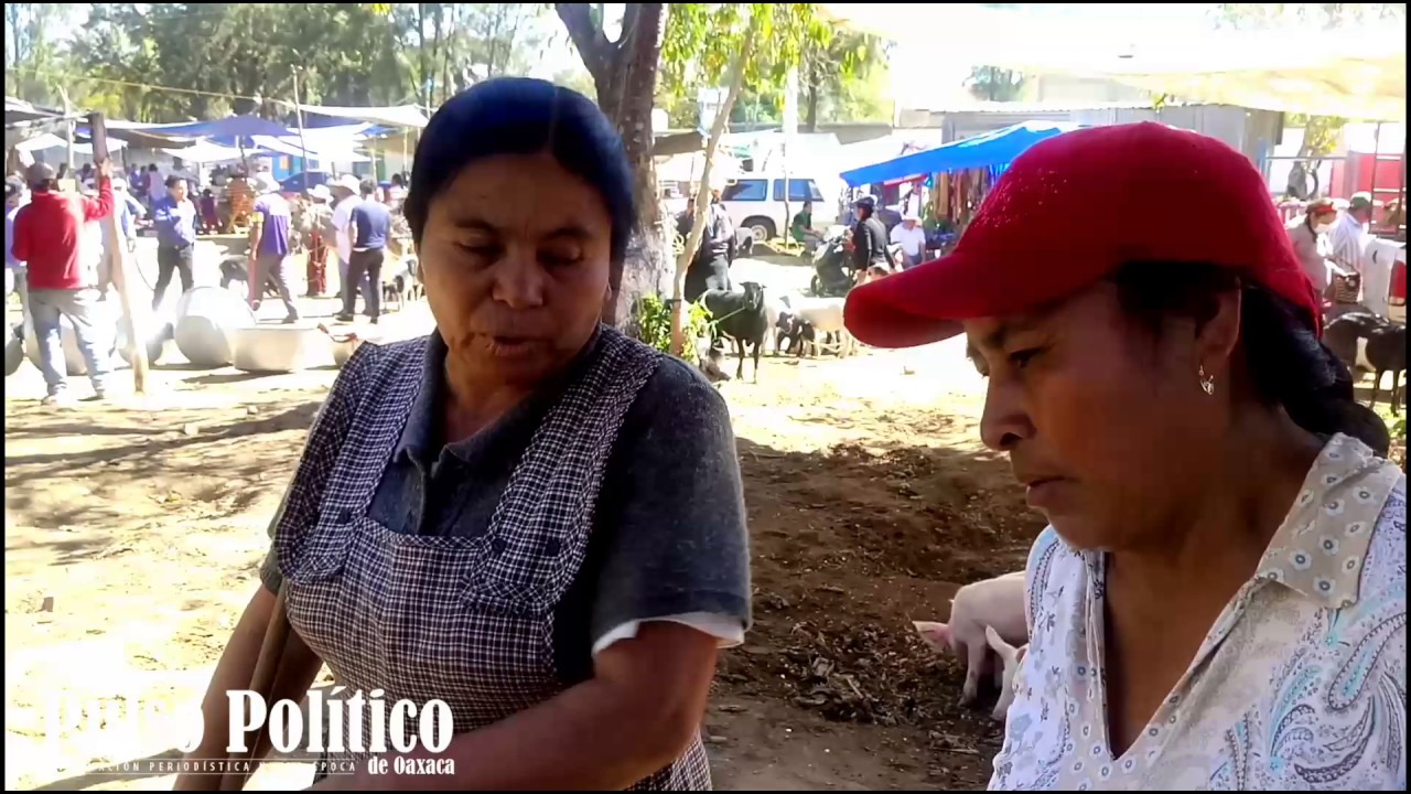 Visita el Baratillo en la Villa de Zaachila