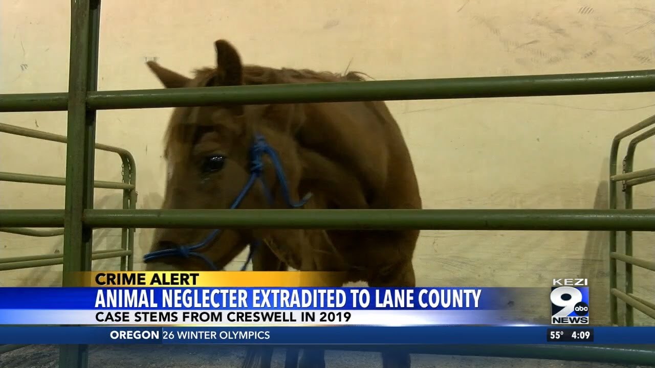 Animal Neglecter Extradited to Lane County