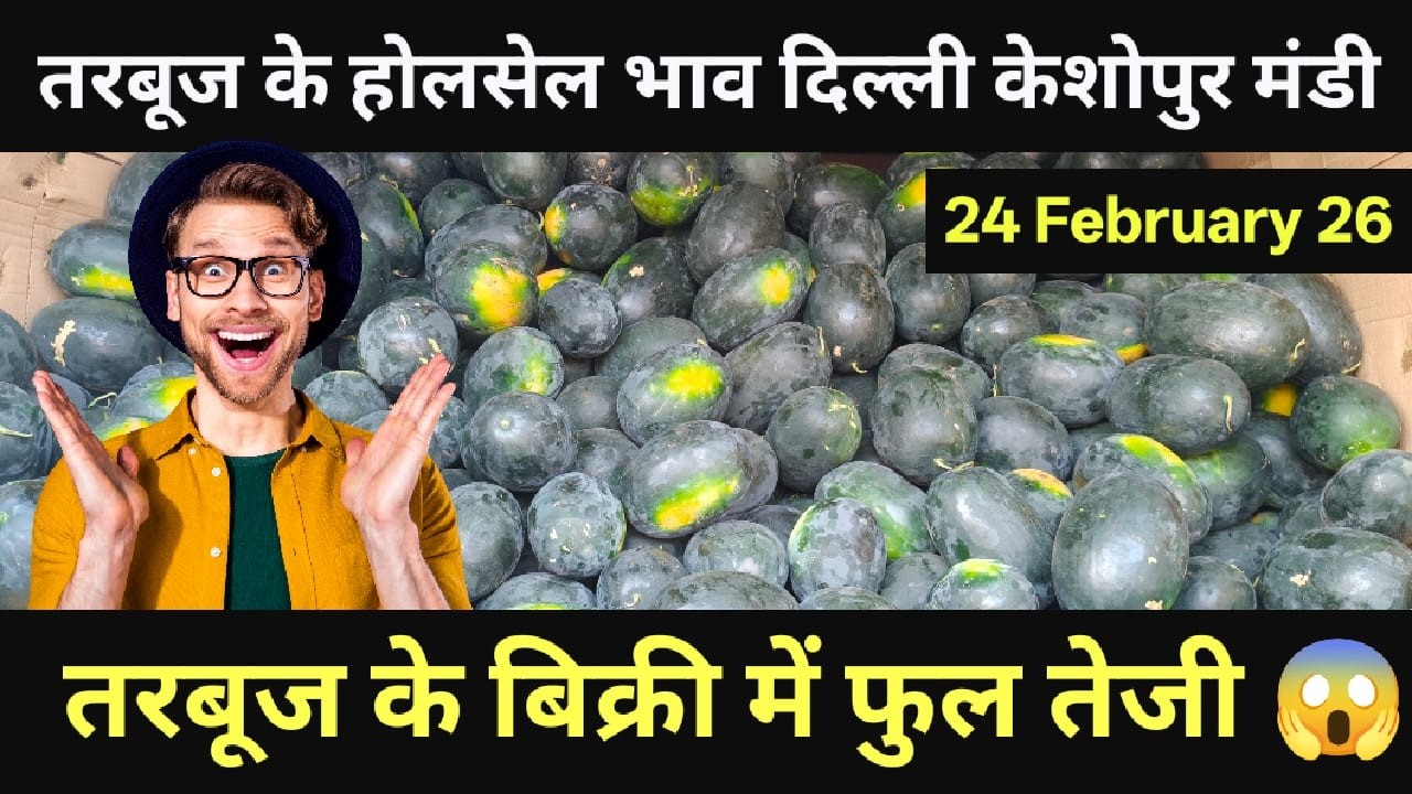 तरबूज के भाव दिल्ली केशोपुर मंडी। Watermelon Wholsale Rate Delhi #watermelon