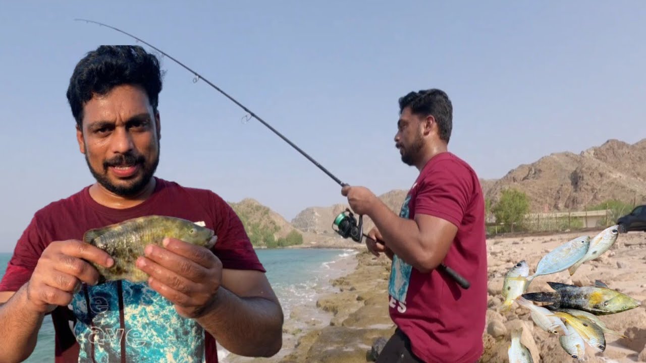 #fishing video #💯fishing  UAE FUJAIRAH DIBBA