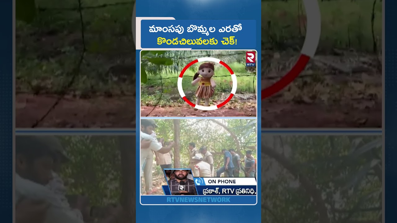 మాంసపు బొమ్మల ఎరతో కొండచిలువలకు చెక్! | Tuni 3 Years Girl Missing Case Update | RTV