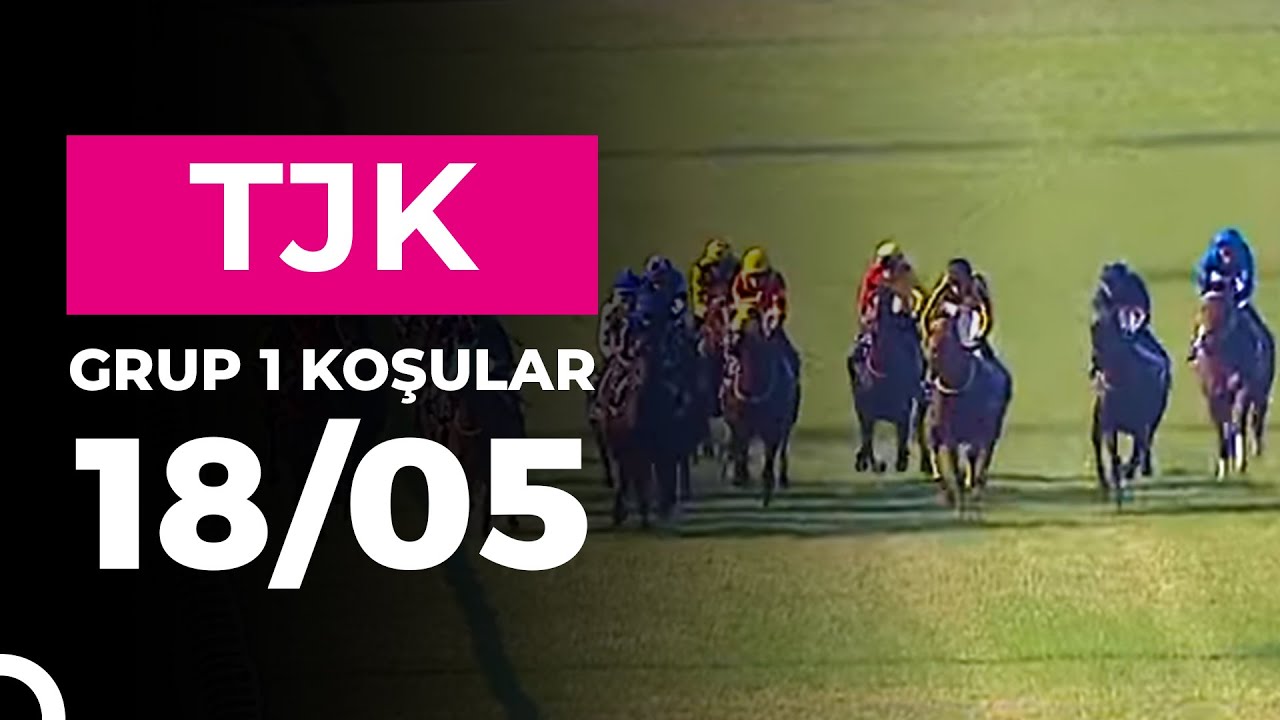 Dişi Tay Deneme Koşusu (Grup - 1 / D) 18/05/2025