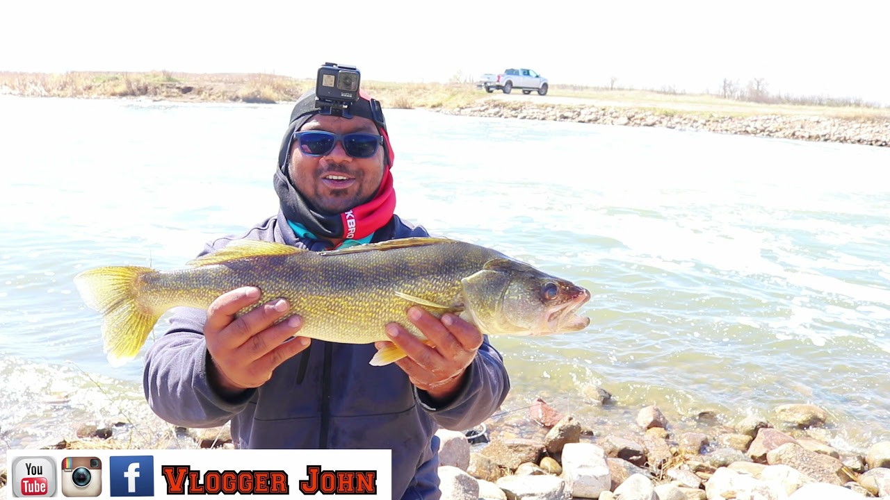 Walleye Shore fishing using Dynamite plastics- Vlogger John- Some good walleyes- Best shads to buy