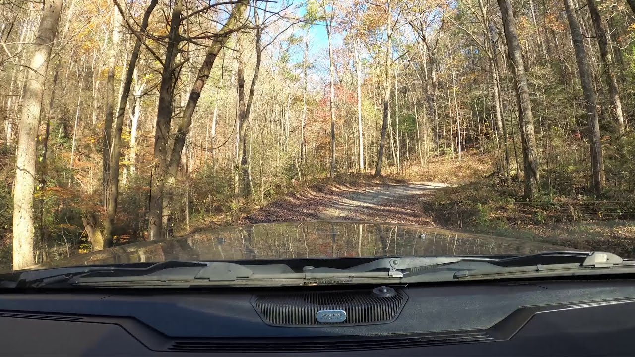 Old CCC Camp Rd and USFS 64 in Chattahoochee National Forest