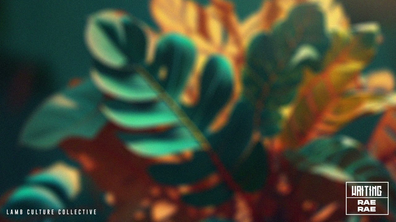 Rae Rae - Waiting (Lamb Culture Collective)