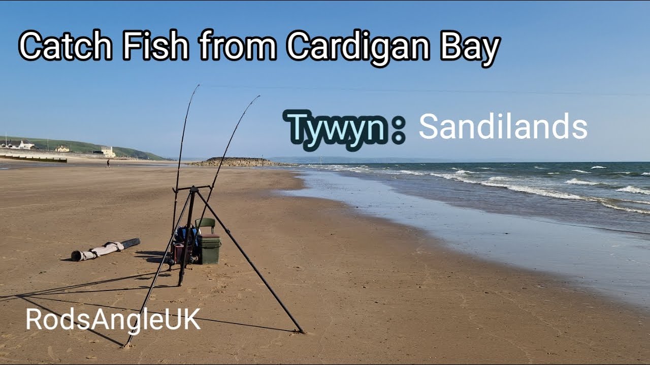 Catch Fish from Cardigan Bay: TYWYN - Sandilands