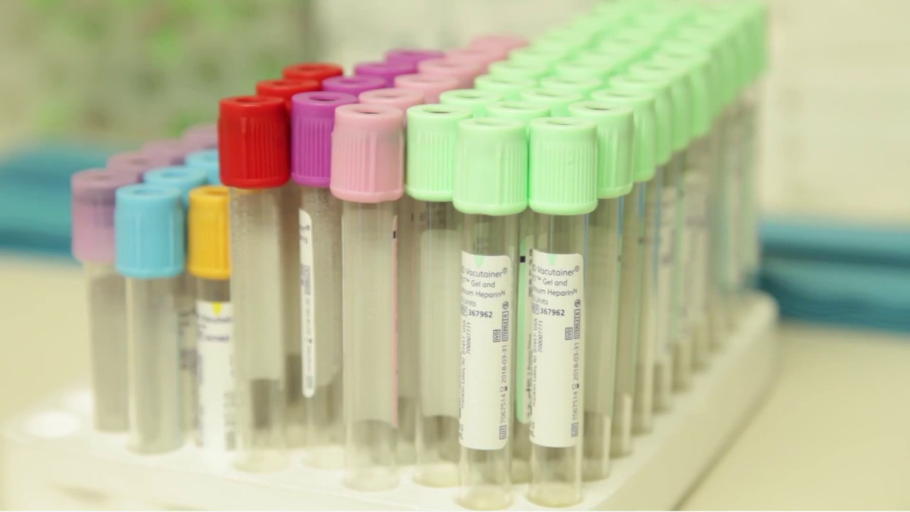 Chemotherapy Treatment Cycle