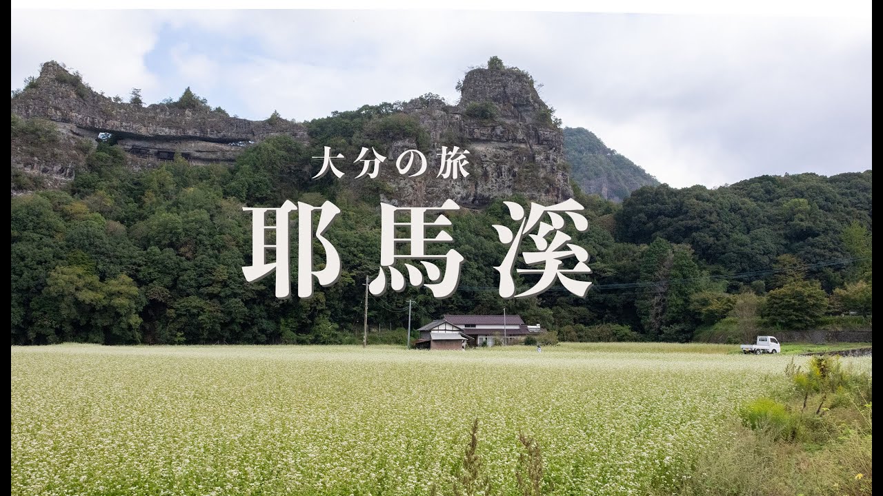 【大分Vlog】一面に咲く白いそばの花　秋の耶馬溪を訪ねて　古羅漢　一目八景　青の洞門　地鶏そば　だんご汁　【4K】